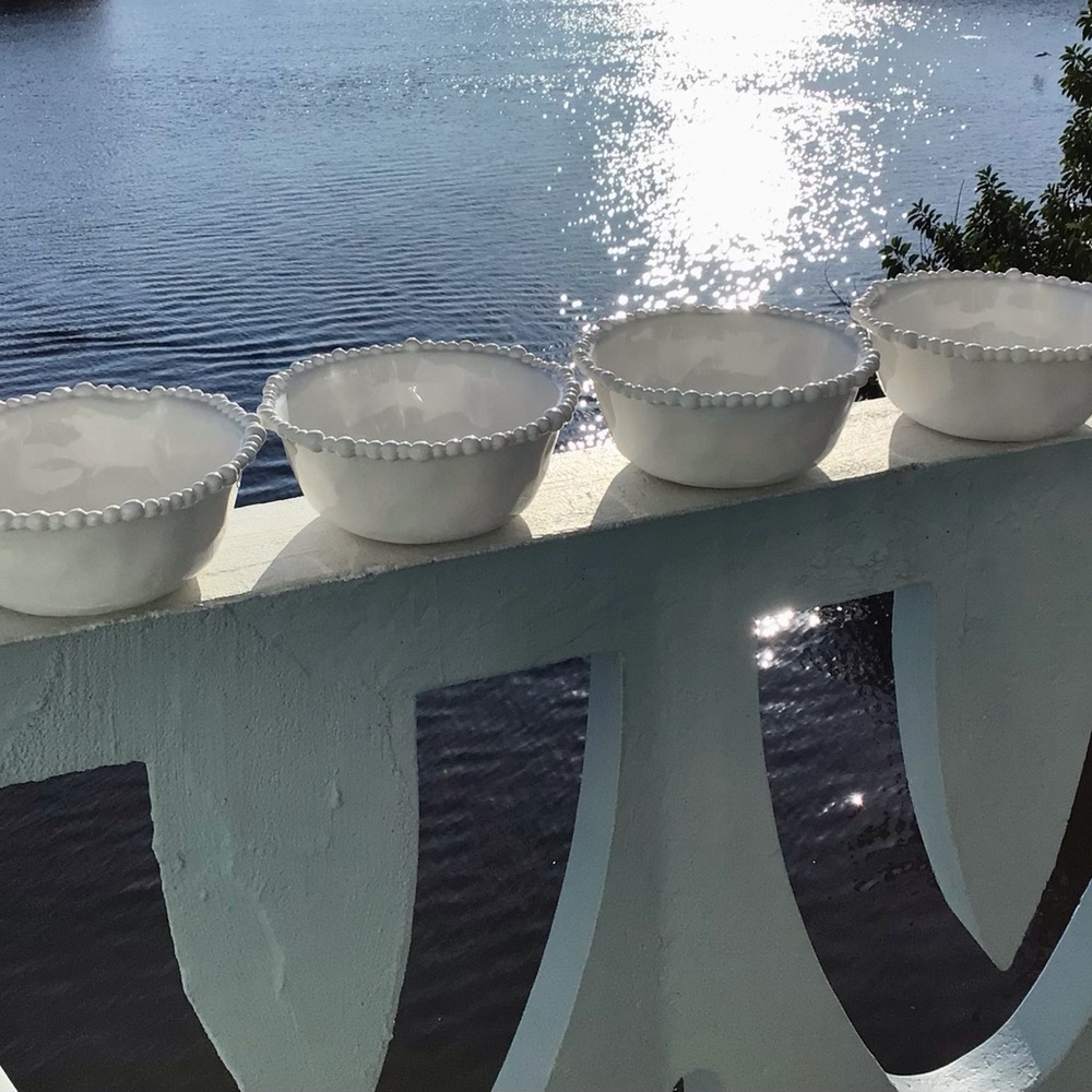 Beatriz Ball Vida Alegria Distinctive Pearl Rim Melamine Bowls x 9